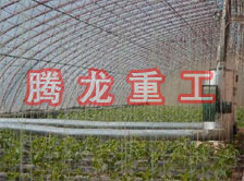 大棚花卉供暖設(shè)備、大棚卉采暖設(shè)備、大棚花卉取暖設(shè)備